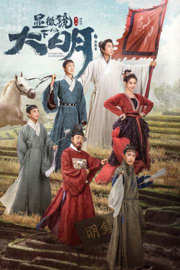 显微镜下的大明之丝绢案 海报