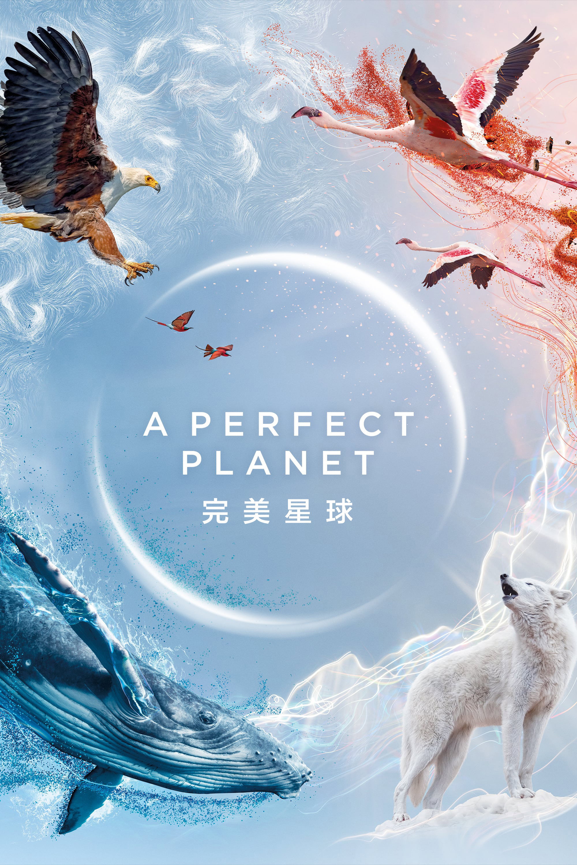 完美星球 海报 1