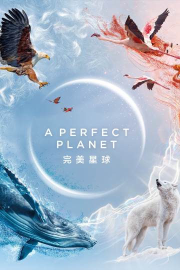 完美星球 海报