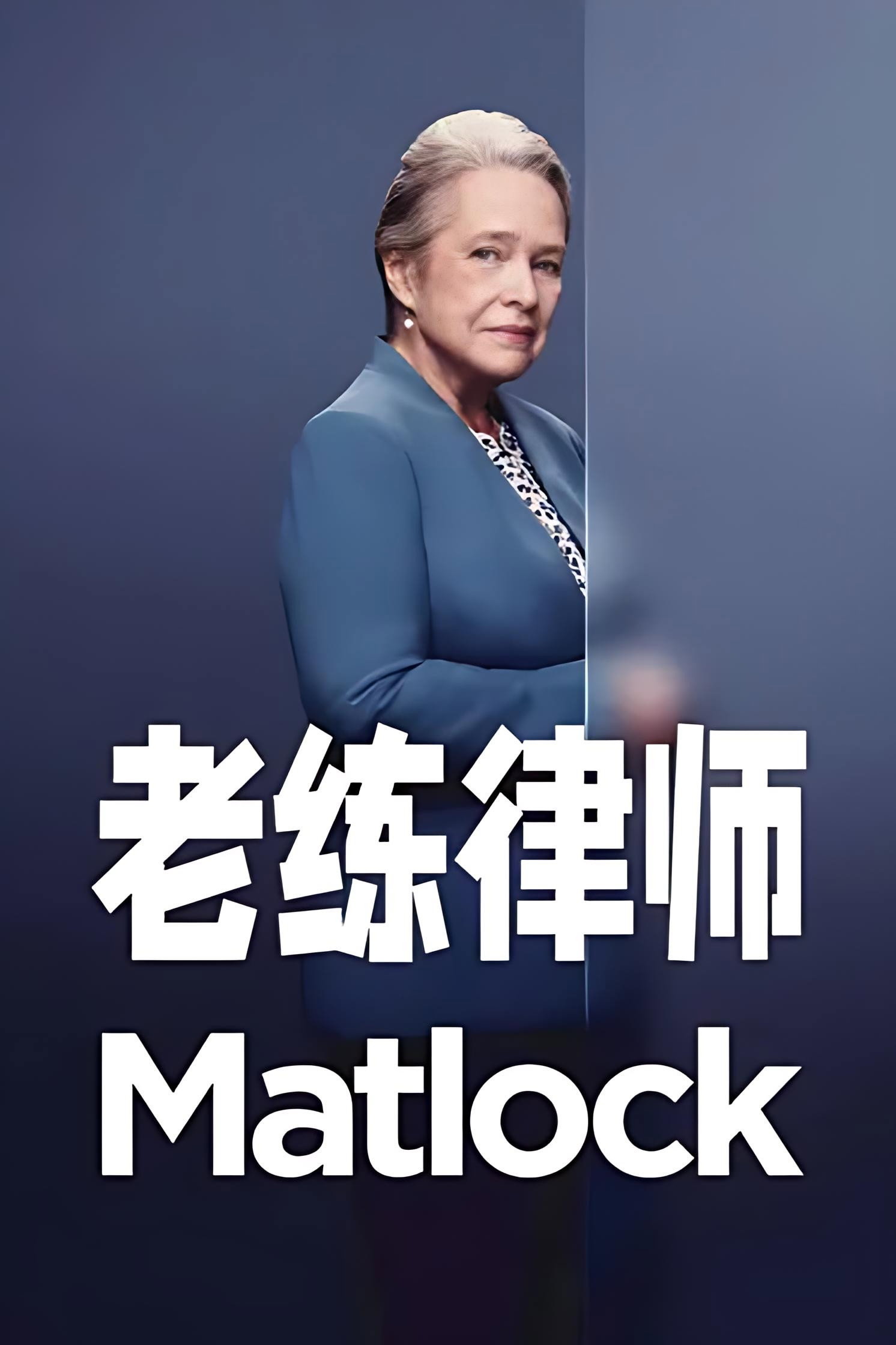 老练律师 海报 1